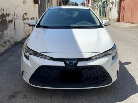 Toyota Corolla Fielder 2019