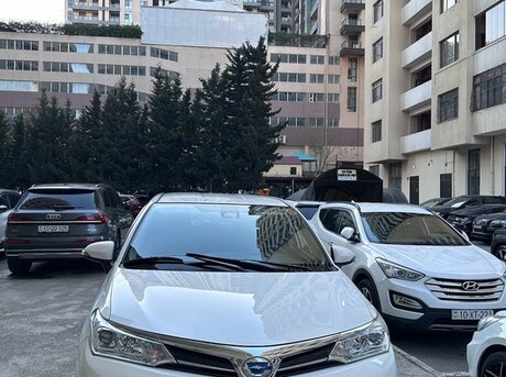 Toyota Corolla Fielder 2019