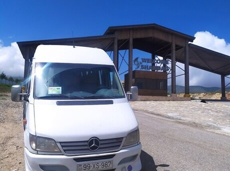 Mercedes Sprinter 313 2004