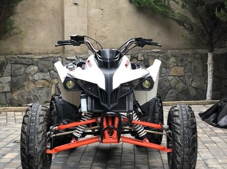 Kayo  2021
