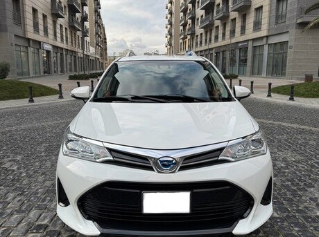 Toyota Corolla Fielder 2019