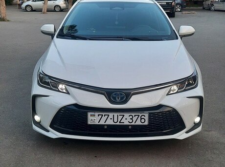 Toyota Corolla 2024