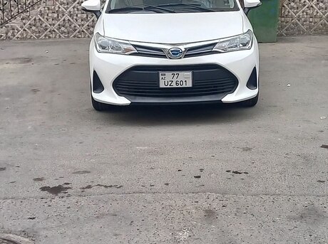 Toyota Corolla Fielder 2019