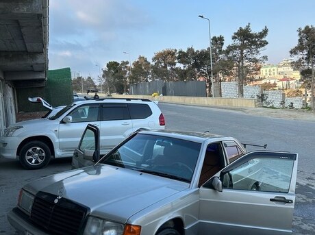 Mercedes 190 1991
