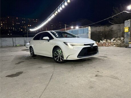 Toyota  2024