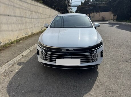 BYD Destroyer 05 2024