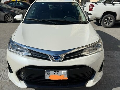 Toyota Corolla Fielder 2019