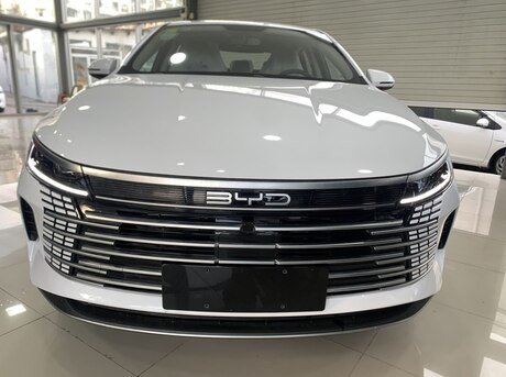BYD Destroyer 05 2024