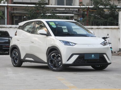 BYD Seagull
