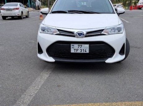 Toyota Corolla Fielder 2019