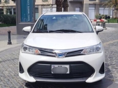 Toyota Corolla Fielder 2019