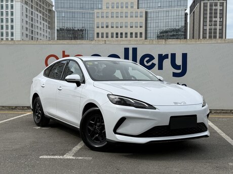 BYD  2025