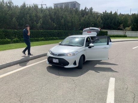 Toyota Corolla Fielder 2019
