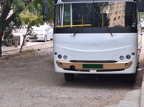 Isuzu Ecobus 2012