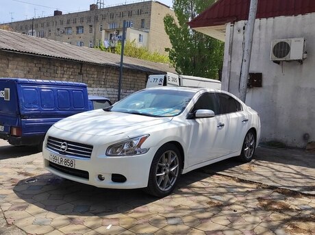Nissan Maxima 2010