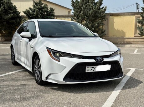 Toyota Corolla 2019