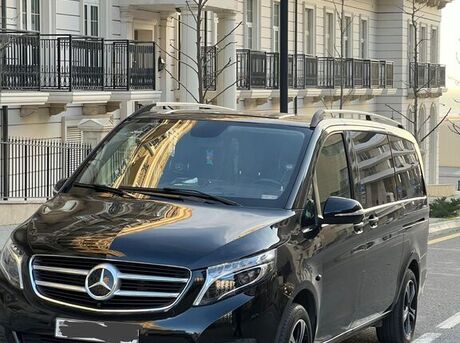 Mercedes Metris
