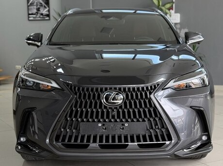 Lexus NX 200 2022