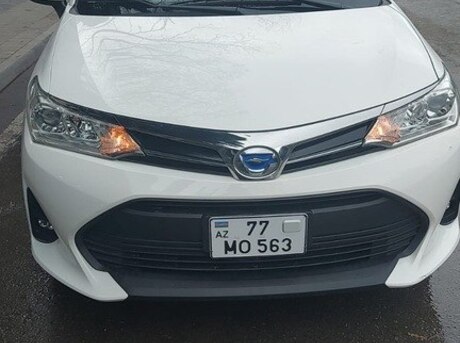 Toyota Corolla Fielder 2019