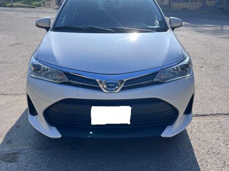 Toyota Corolla Fielder 2019