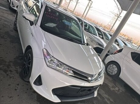 Toyota Corolla Fielder 2019