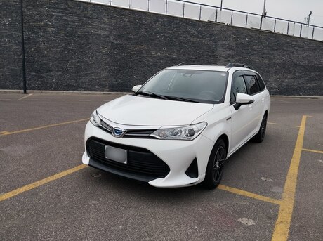 Toyota Corolla Fielder 2019