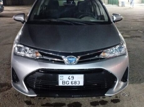 Toyota Corolla Fielder 2019