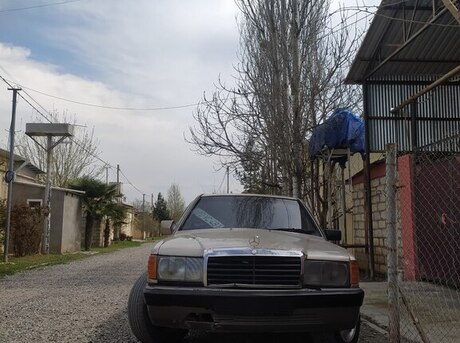 Mercedes 190 1991