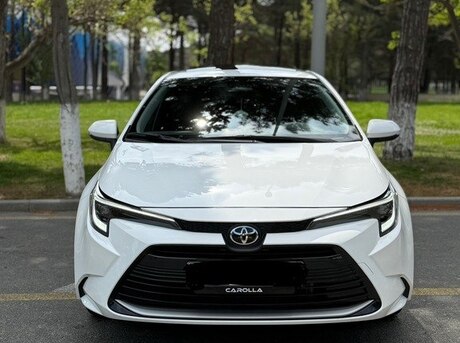 Toyota  2024