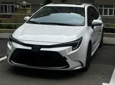 Toyota  2024