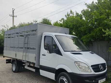 Mercedes Sprinter 511 2006