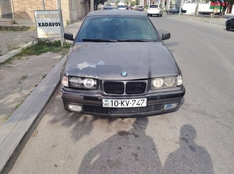 BMW 316 1991