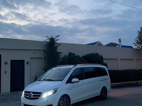 Mercedes Viano 2014