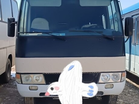 Mitsubishi Rosa 2006