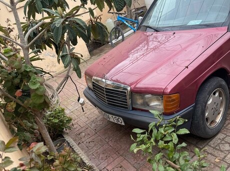 Mercedes 190 1993