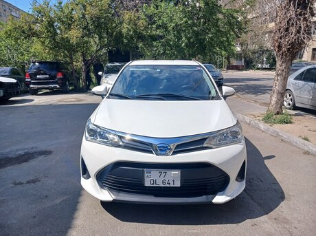 Toyota Corolla Fielder 2019