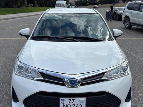 Toyota Corolla Fielder 2019
