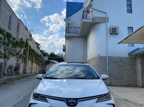 Toyota Corolla 2024