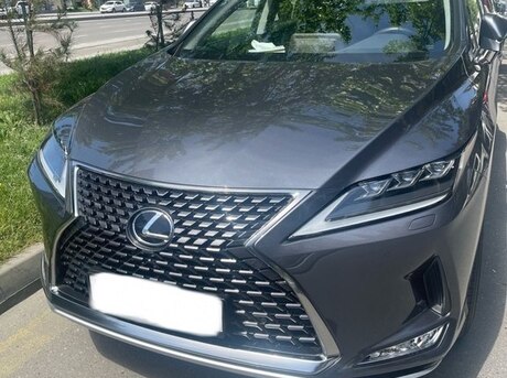 Lexus RX 300 2022