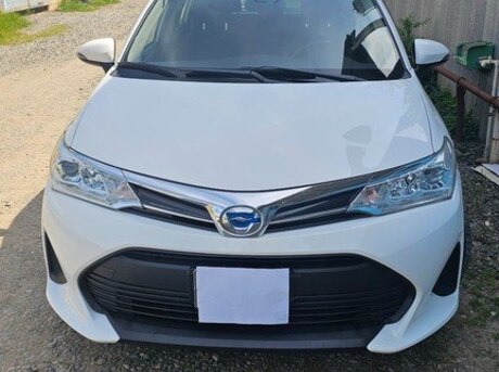 Toyota Corolla Fielder 2019