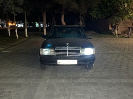 Mercedes 190 1991