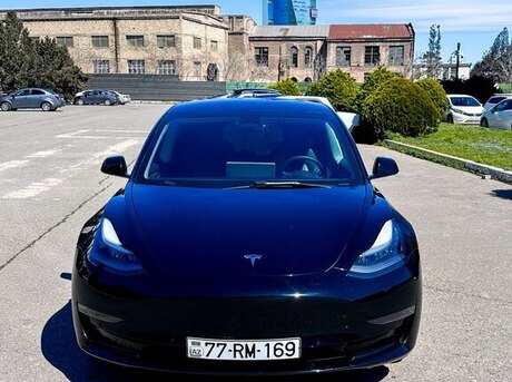Tesla Model 3 2021