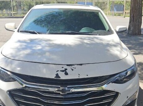 Chevrolet Malibu 2019