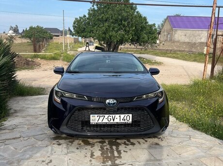 Toyota Corolla 2020