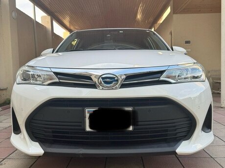 Toyota Corolla Fielder 2019