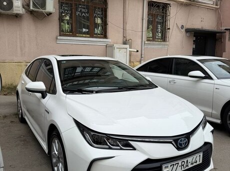 Toyota Corolla 2023
