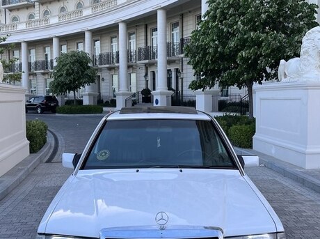 Mercedes 190 1991