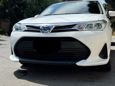 Toyota Corolla Fielder 2019
