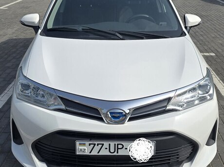 Toyota Corolla Fielder 2019