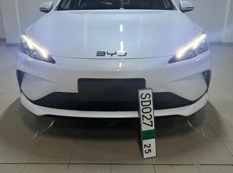 BYD  2025